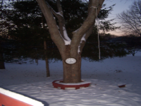 100_2112.jpg