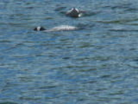 100_2568.jpg