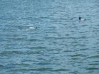 100_2569.jpg