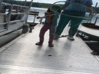 100_4215.jpg