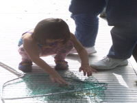 100_4217.jpg