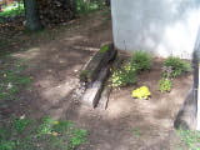 100_4304.jpg