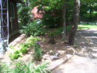 100_4307.jpg