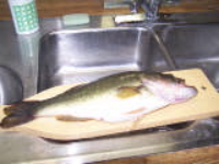 100_4318.jpg