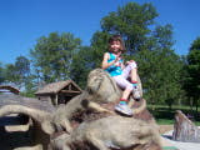 100_4333.jpg