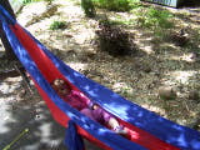 100_4387.jpg