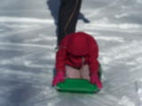 100_4433.jpg