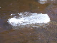 100_7343.jpg