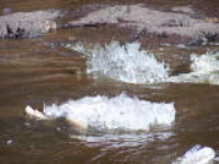 100_7344.jpg