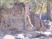 100_7366.jpg