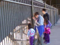 100_7378.jpg