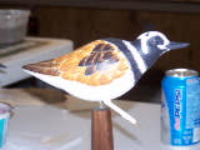 100_2883.jpg