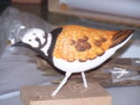 100_2885.jpg
