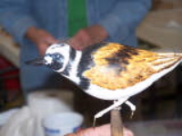 100_2889.jpg