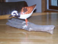 100_2892.jpg