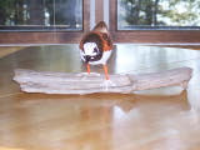 100_2893.jpg